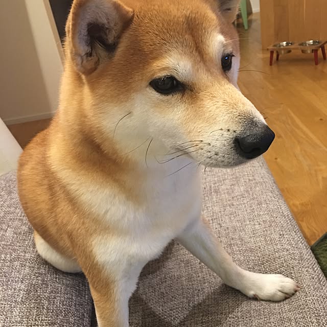 yuppiさんの実例写真