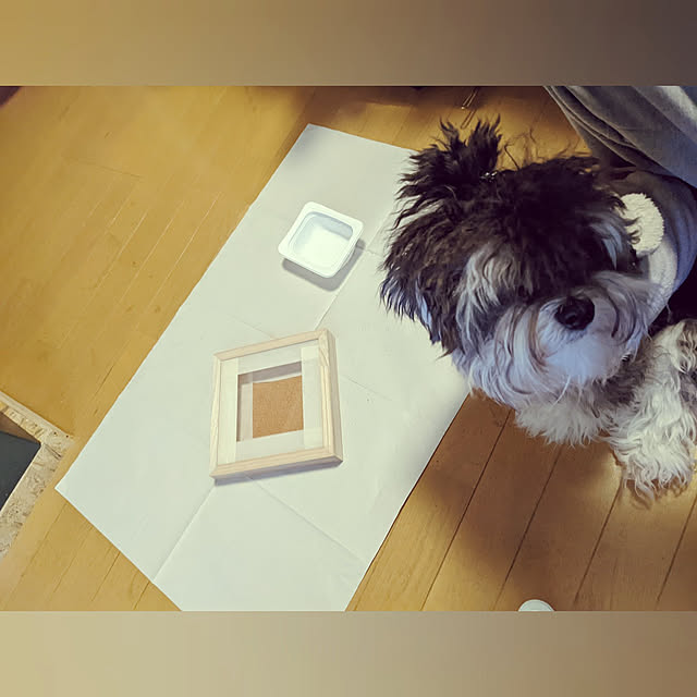 GINさんの実例写真