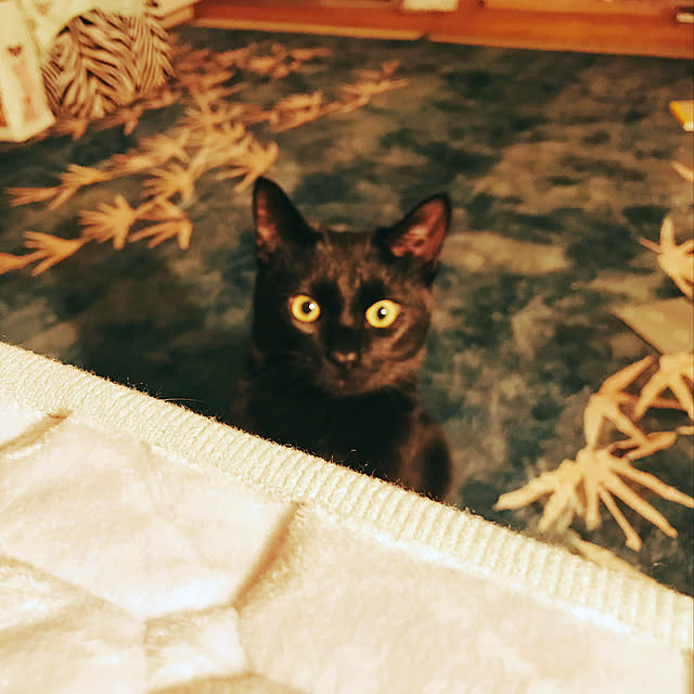 Machiさんの実例写真