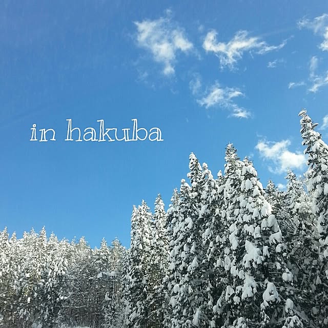mame-shibaさんの実例写真