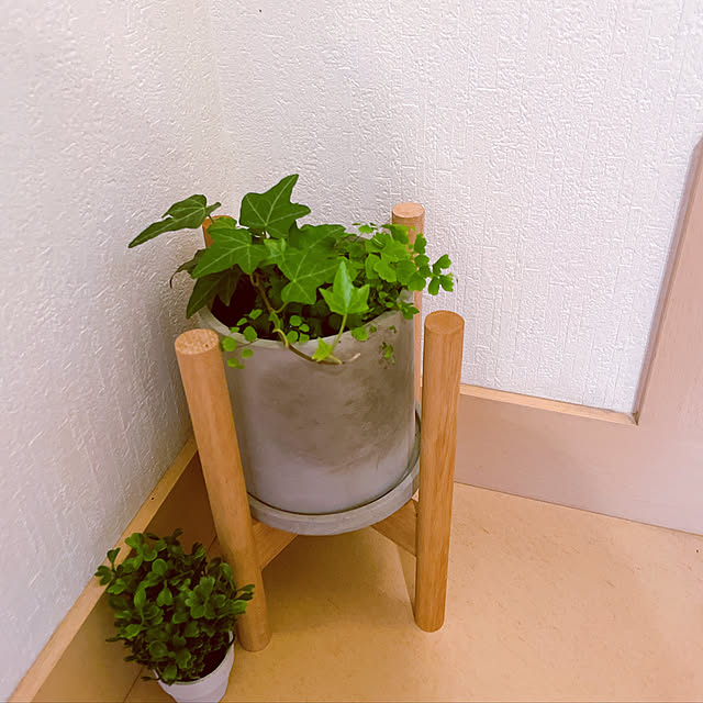 tak_to_akiさんの実例写真