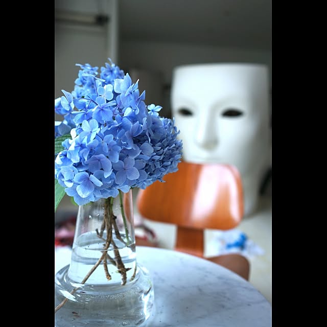 Design papa Ka-tuさんの実例写真