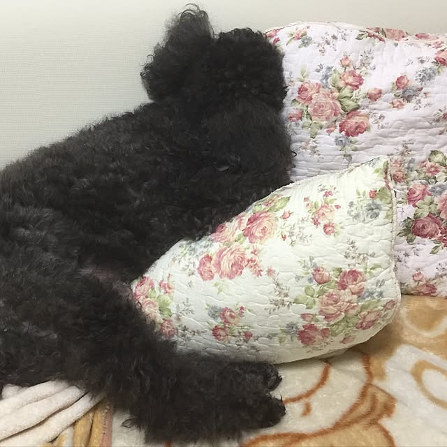 mimさんの実例写真