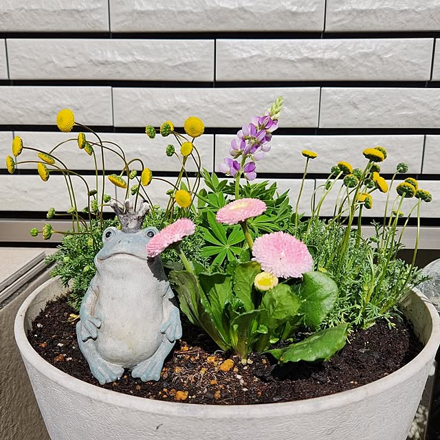 yuppiさんの部屋