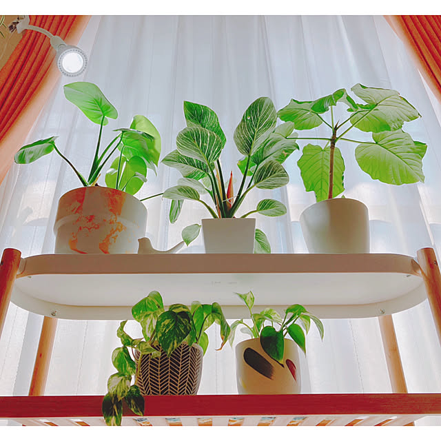 yuyuさんの部屋