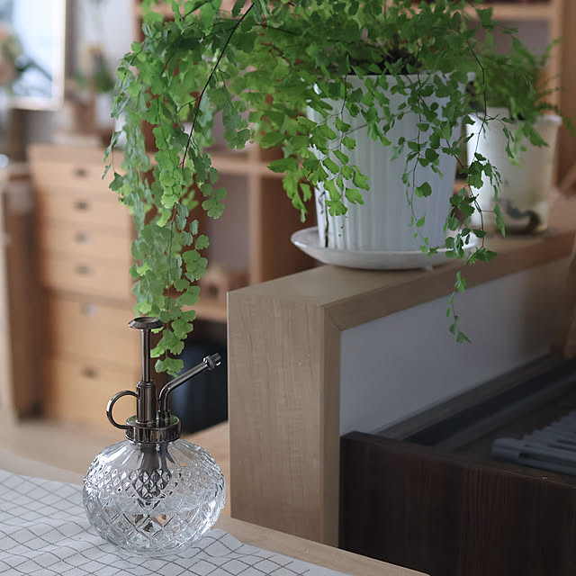 Summerさんの部屋