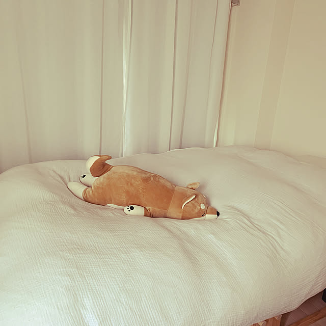 hamuuさんの実例写真