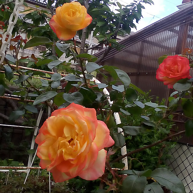 mariagardenさんの実例写真
