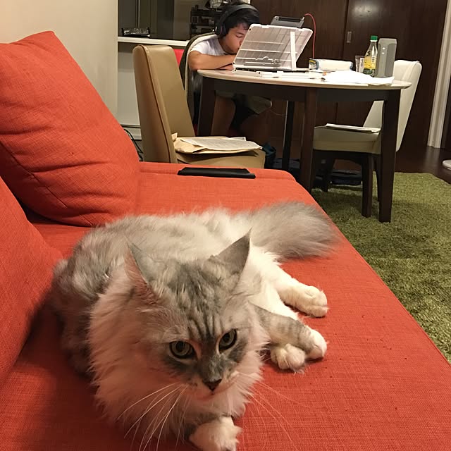 Chitoseさんの実例写真