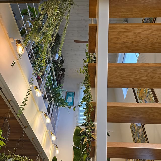 nonbiri_house_さんの部屋