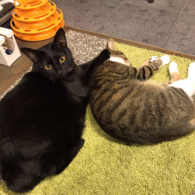 na-sanさんの実例写真