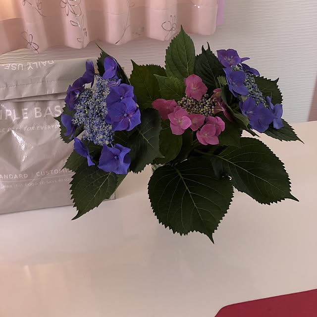 junkoさんの実例写真