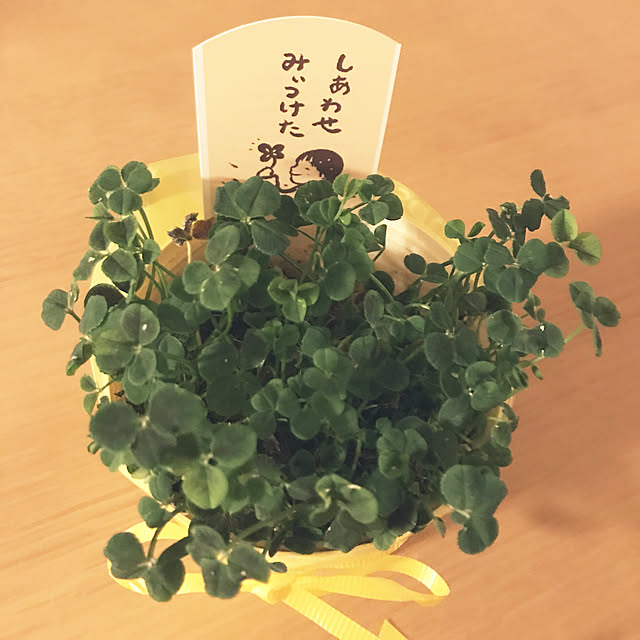 riseruさんの実例写真