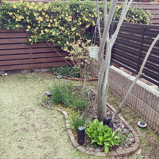 goro_wanさんの実例写真