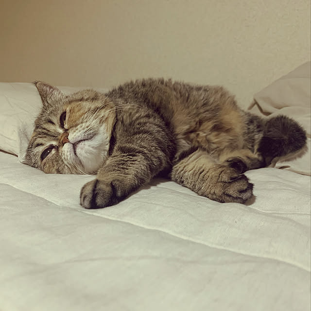 haneyaさんの実例写真