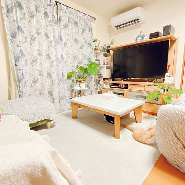 moolさんの実例写真