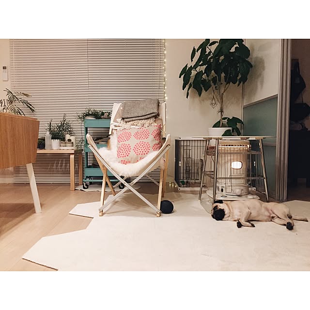 YUIさんの実例写真