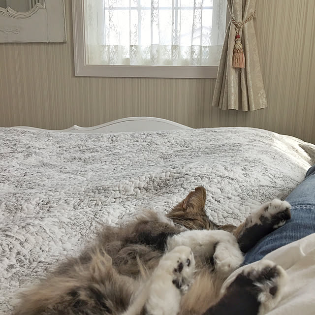 yuchiさんの実例写真