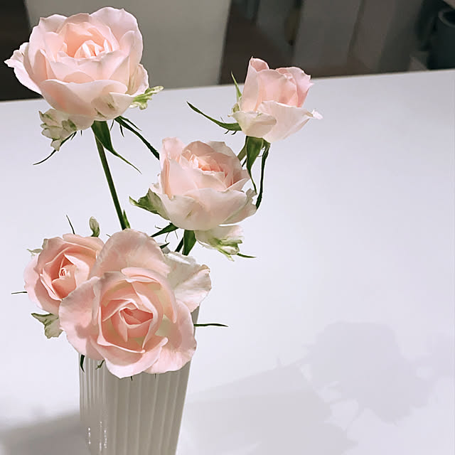 ダイソー/花のある暮らしに憧れる/花のある暮らし/ダイニングテーブル/モノトーン...などのインテリア実例 - 2020-03-23 06:39:31