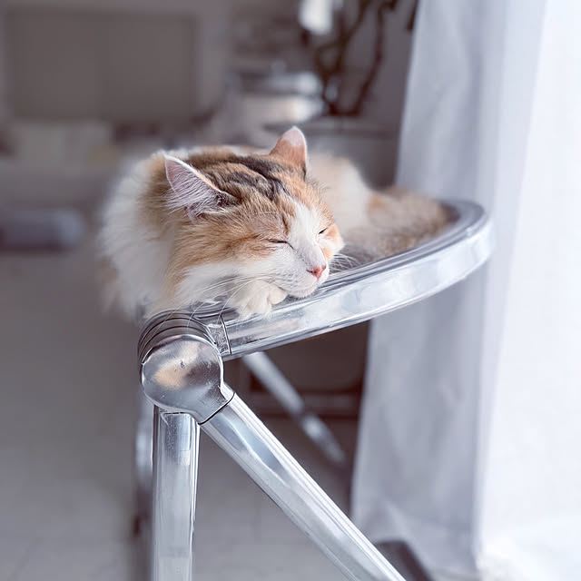 mya___kさんの実例写真