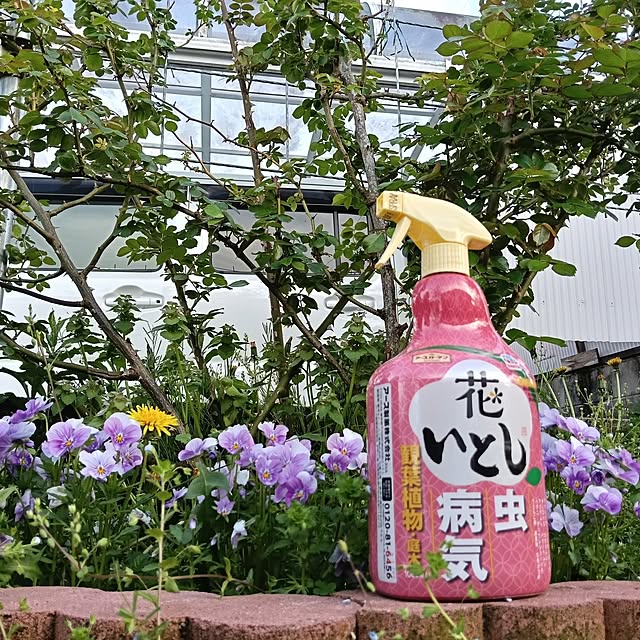 sumimarumiさんの実例写真