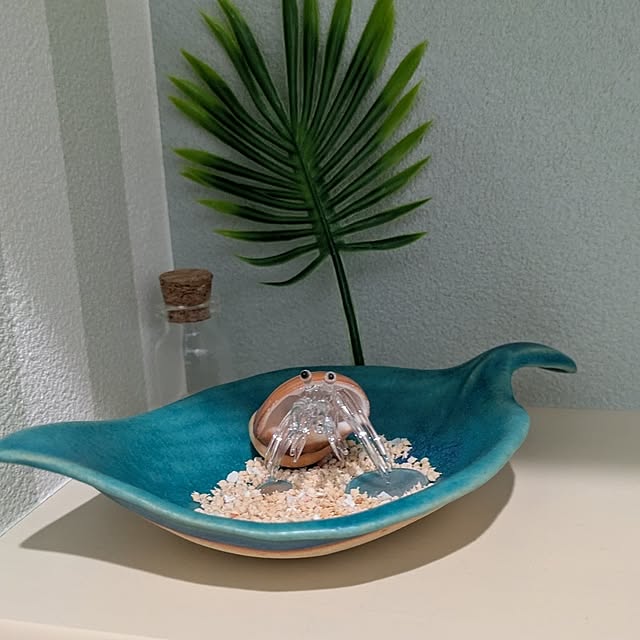 chanmaruさんの実例写真