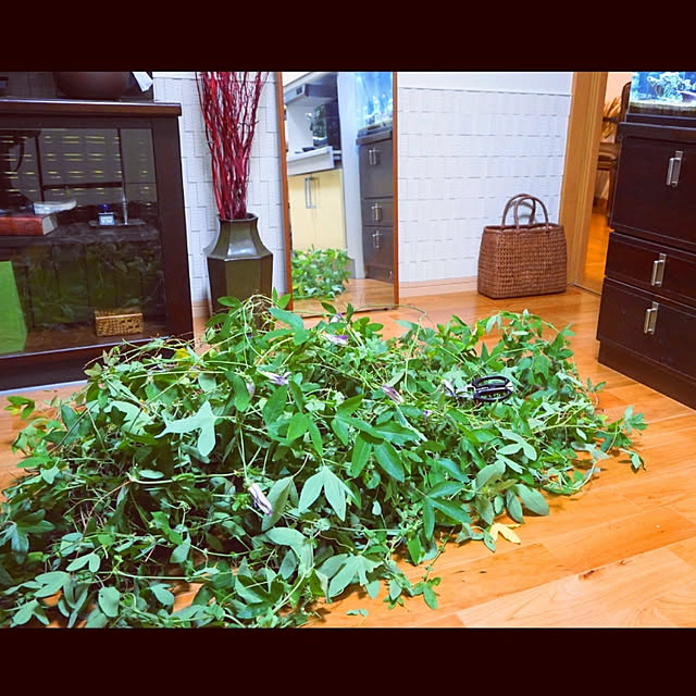 aromameさんの実例写真