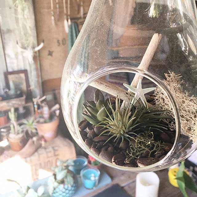 edenさんの実例写真