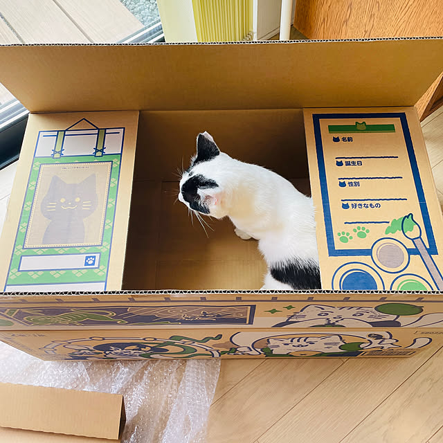 imomusiさんの部屋