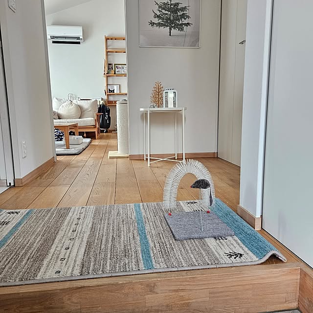 koyurizuさんの部屋