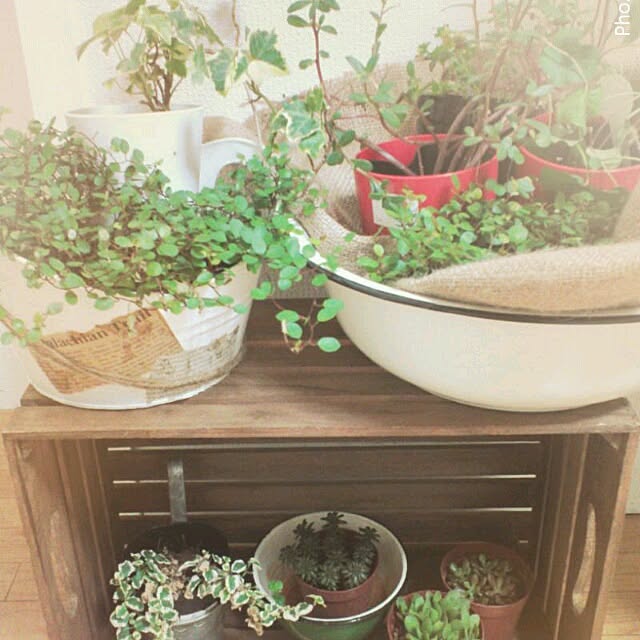 chiさんの実例写真