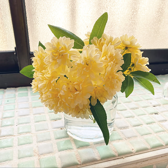 kasさんの実例写真