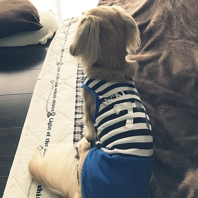 -Riley-mama.-さんの実例写真