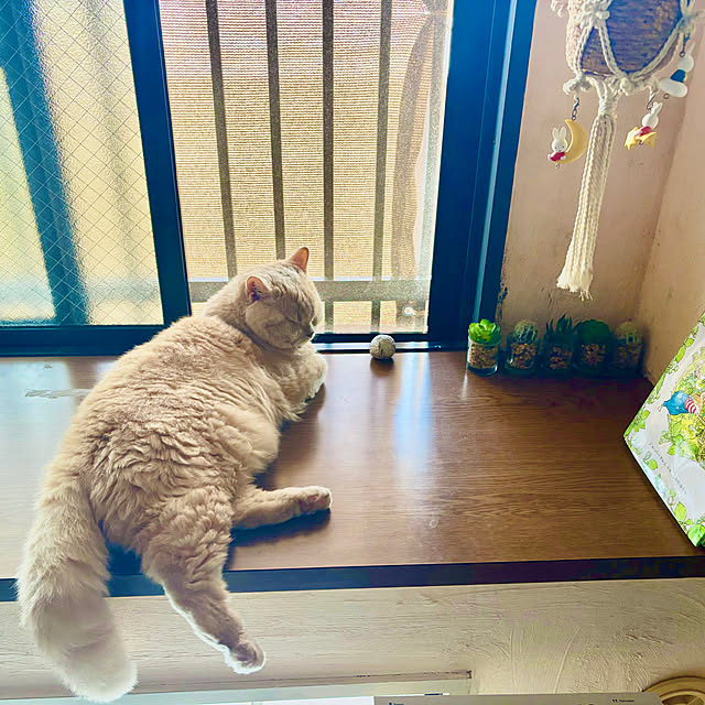 naokoさんの部屋