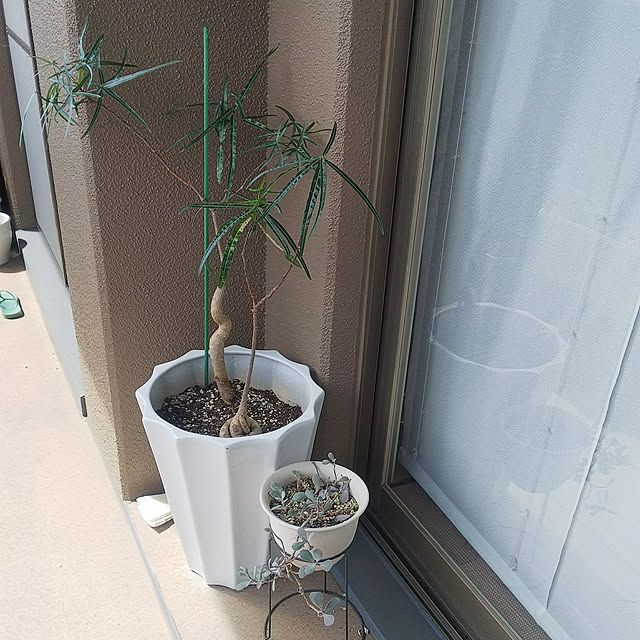 n0516さんの実例写真