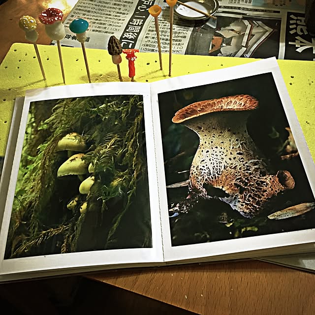 ramuchop3000さんの実例写真