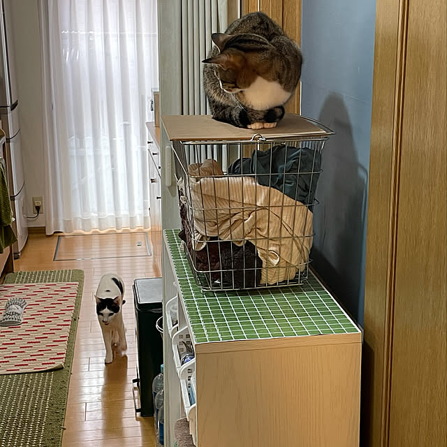 nobikoさんの実例写真
