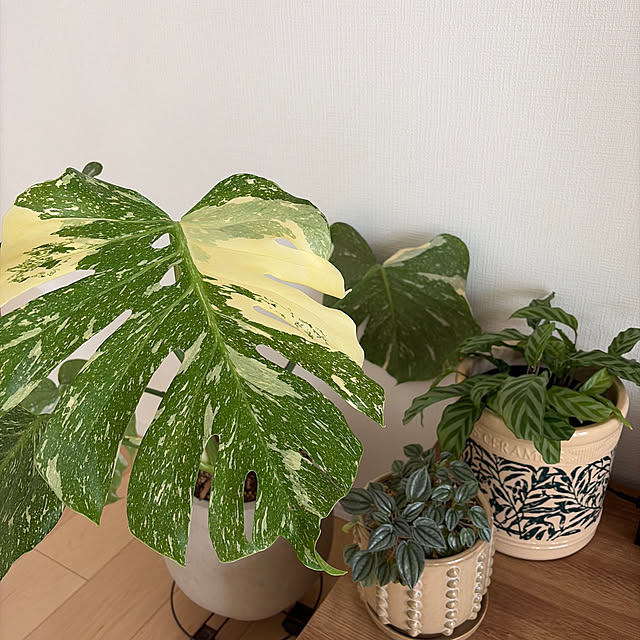 実例写真