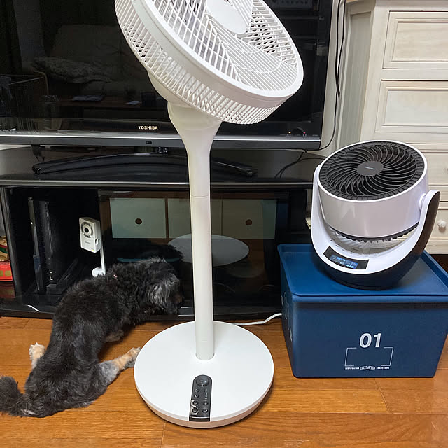 rinrinさんの実例写真