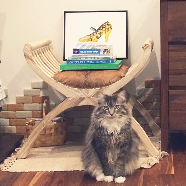 Amyさんの実例写真