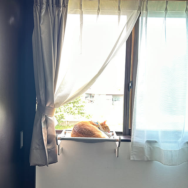 shi622さんの部屋