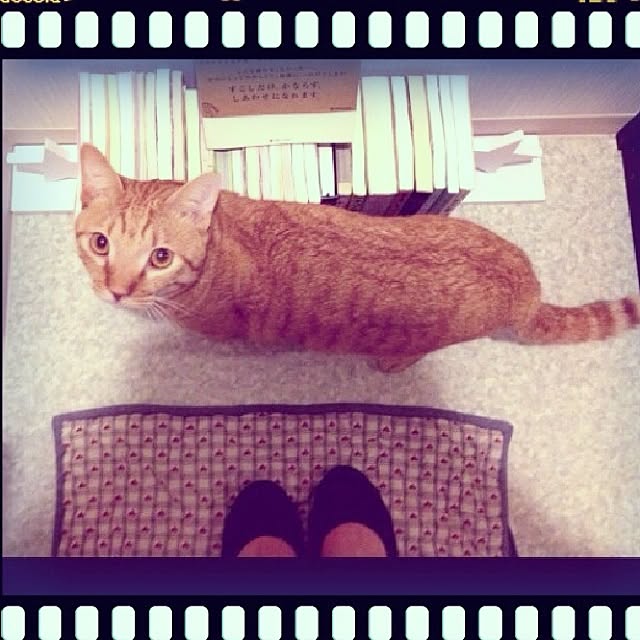 n-sanさんの実例写真