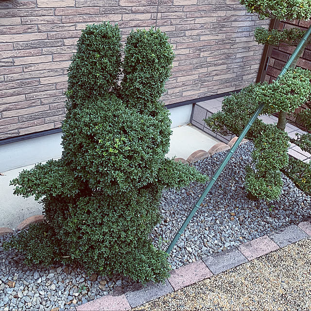 junaさんの実例写真