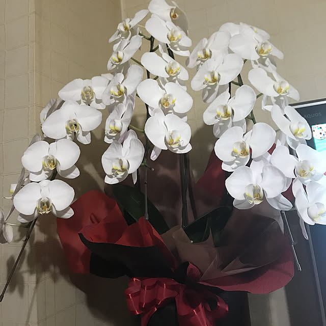 KOTOBUKI.さんの実例写真