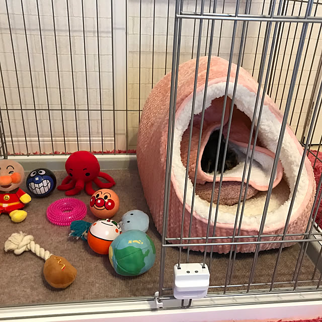 msさんの部屋
