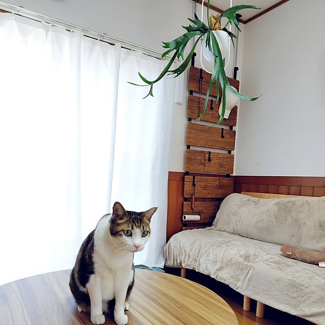 nachiさんの部屋