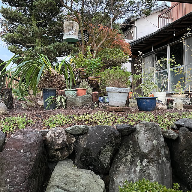 shin0719さんの部屋