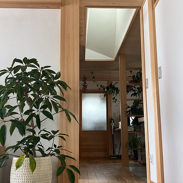 hira_muji_mihiさんの実例写真