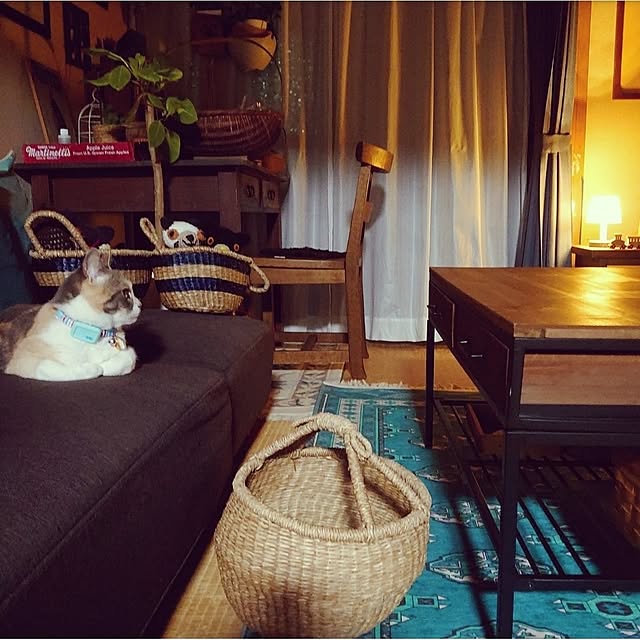 fukuさんの部屋