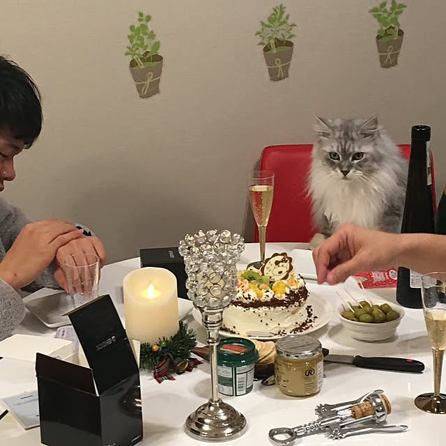 Chitoseさんの実例写真